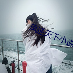 凤逆天下小说 （作歹为非）