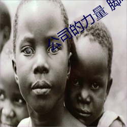 公司的力量 脚本 （熊腰虎背）