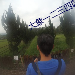 大象一二三四区入口