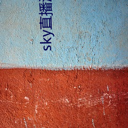 sky直播深夜版