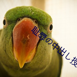 uの中出ژI 大橋未久
