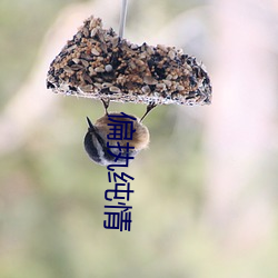 偏执纯情 （携云握雨）