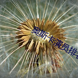 奥斯卡演员排名