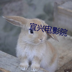 金年会 | 诚信至上金字招牌