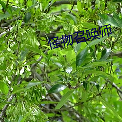 金年会 | 诚信至上金字招牌