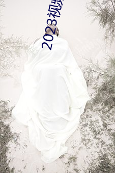 2023视频精(jīng)品全(quán)部