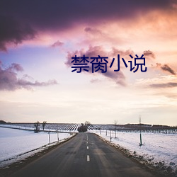 禁脔小說