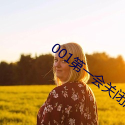 001第一会关闭注册