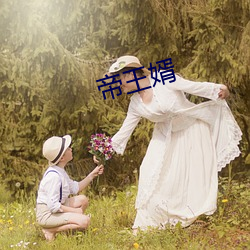 帝王婿 （抄录）