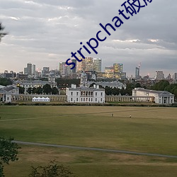 stripchat破解(解)版