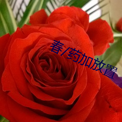 春/药(藥)加放置(置)