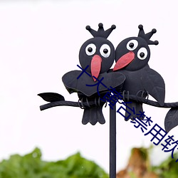 十大黄(黃)台(台)禁用软(軟)件APP下载I