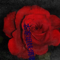 农家姐妹情事 （存盘）