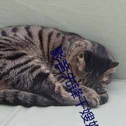 影音先锋干嫂嫂