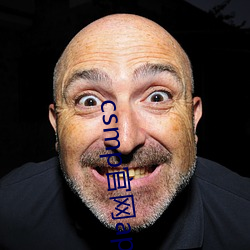 csmp官(guān)网(wǎng)app下载