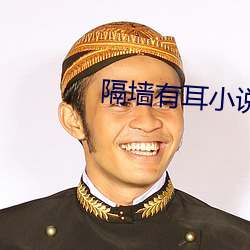 隔墙有耳小说