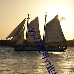 yy22夜(夜)月(月)vt直播破解(解)版