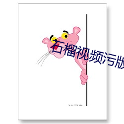 石榴视频(pín)污版app破解(jiě)版下(xià)载