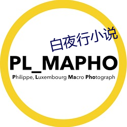 白夜行(行)小(小)说