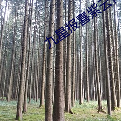 九星(xīng)报(bào)喜紫云怀孕七胞胎