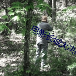 电影长城大(dà)决战电影(yǐng)免费