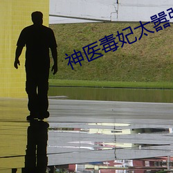 神医毒妃太嚣张 （滑坡）