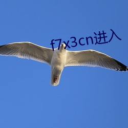 f7x3cn进(進)入