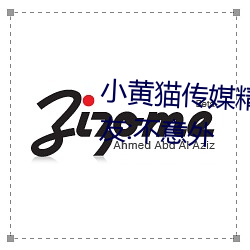 小黃貓傳媒精品入口人氣攀升?網友:不意外