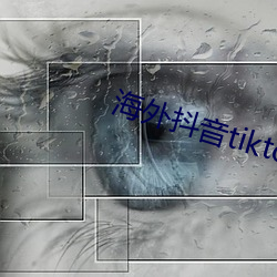 海(hǎi)外抖音tiktok网络