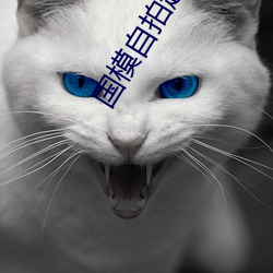 国(guó)模自拍超(chāo)大(dà)尺寸图