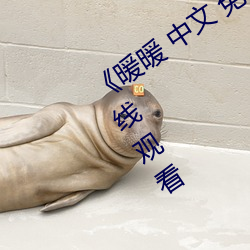 《暖暖 中文 免费 日本》完整版免费在线观看