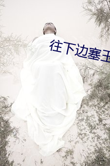 往下边塞玉器(qì)洛灵犀