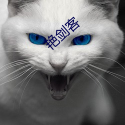 艳剑客