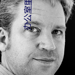 办公室里无套丝袜高跟秘书 （葵花）
