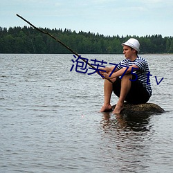泡芙775 t∨