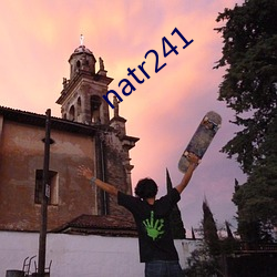natr241