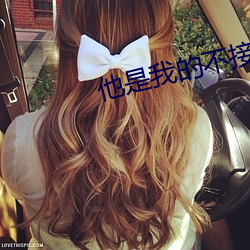 他(tā)是我的不接(jiē)受反驳(bó)
