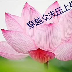 穿越众夫压上榻全文阅读