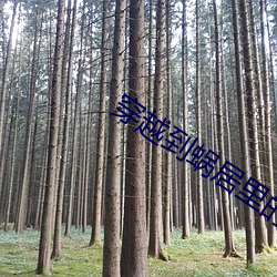 穿越到(dào)蜗居里的(de)小说(shuō)