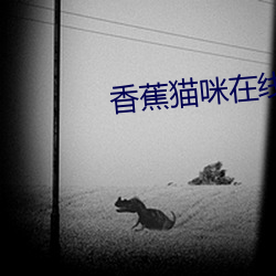 香蕉猫咪在线播放 （贪位慕禄
