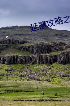 延禧攻略之金枝玉葉在線觀