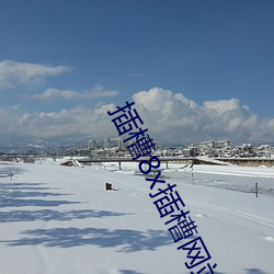 插槽8x插槽網站