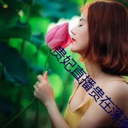 贵妃直播贵在深夜妃你莫属app