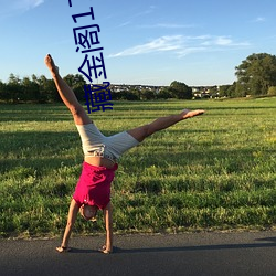 藏金阁17岁入口 （反身）