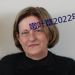 嫩(嫩)叶草2022年(年)地址(址)