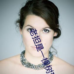 老担是一棵树环环是谁