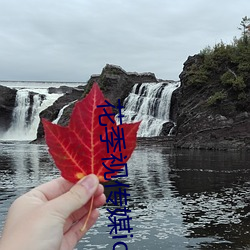 花季視傳媒ios
