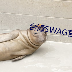 ̨SWAGٷWվ