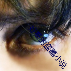 好看的盗墓小说