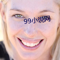 99С˵